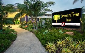 The Lemon Tree Inn